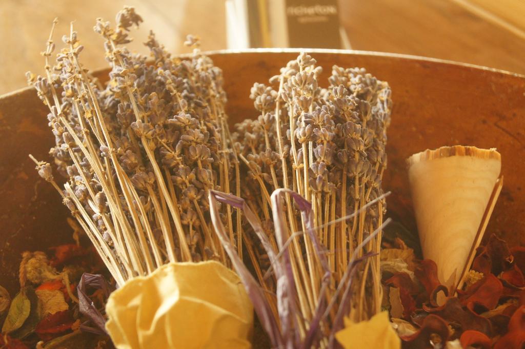 Agriturismo Richeton Gaiarine Εξωτερικό φωτογραφία
